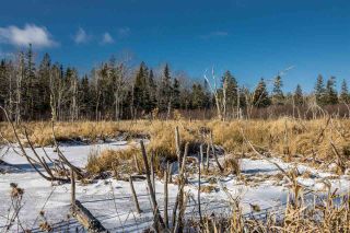 Photo 5: Lot Greenfield Road in Greenfield: 404-Kings County Vacant Land for sale (Annapolis Valley)  : MLS®# 202025611