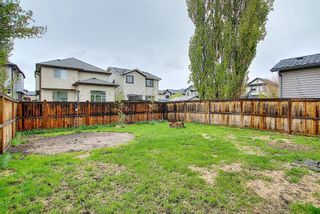 Photo 34: 56 Cranwell Lane SE in Calgary: Cranston Detached for sale : MLS®# A1111617