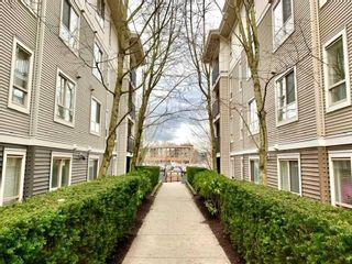 Photo 28: C216 8929 202 Street in Langley: Walnut Grove Condo for sale in "The Grove" : MLS®# R2649679