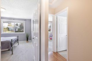 Photo 14: 3503 49 Street SW in Calgary: Glenbrook Semi Detached (Half Duplex) for sale : MLS®# A2131457
