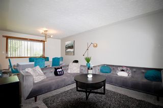 Photo 33: 131 & 129 72 Avenue NE in Calgary: Huntington Hills Full Duplex for sale : MLS®# A1234572