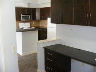 Photo 39: 206 2727 28 Avenue SE in Calgary: Dover Apartment for sale : MLS®# A1014596