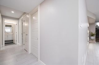 Photo 26: 30 Hill Grove Point in Winnipeg: Bridgwater Forest Residential for sale (1R)  : MLS®# 202303232