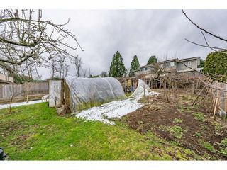 Photo 38: 6605 DUFFERIN Avenue in Burnaby: Forest Glen BS House for sale (Burnaby South)  : MLS®# R2659615