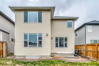 Photo 33: 53 Brightonwoods Green SE in Calgary: New Brighton Detached for sale : MLS®# A1221777