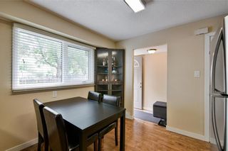 Photo 7: 77 Le Maire Street in Winnipeg: St Norbert Residential for sale (1Q)  : MLS®# 202316481