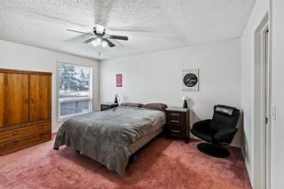 Photo 17: 217 Marquis Place SE: Airdrie Detached for sale : MLS®# A1175699