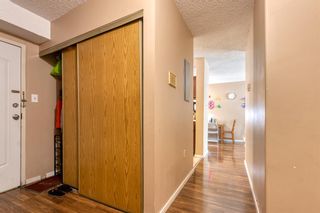 Photo 16: 607 116 3 Avenue SE in Calgary: Chinatown Apartment for sale : MLS®# A2119099