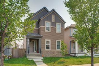 Photo 23: 418 Copperpond Boulevard SE in Calgary: Copperfield Detached for sale : MLS®# A1129824