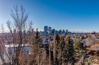 Photo 26: 1106 Colgrove Avenue NE in Calgary: Renfrew Detached for sale : MLS®# A2126147