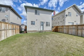 Photo 44: 17 Taralake View NE in Calgary: Taradale Detached for sale : MLS®# A1104958