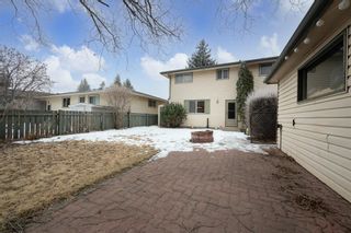 Photo 11: 5528 Dalhart Hill NW in Calgary: Dalhousie Detached for sale : MLS®# A1187842