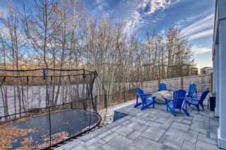 Photo 47: 117 Rock Lake Heights NW in Calgary: Rocky Ridge Detached for sale : MLS®# A2094370