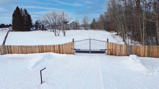 Photo 6: 35146 284A Range Road: Rural Red Deer County Detached for sale : MLS®# A2022086