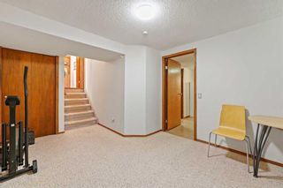 Photo 28: 40 Sanderling Rise NW in Calgary: Sandstone Valley Detached for sale : MLS®# A2143073