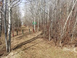 Photo 10: Lakeview Drive: Rural Camrose County Residential Land for sale : MLS®# A2129369