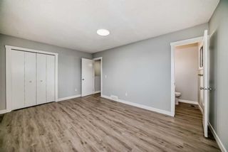 Photo 17: 55 Templemont Drive NE in Calgary: Temple Semi Detached (Half Duplex) for sale : MLS®# A2133385
