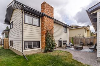Photo 31: 3 Bearberry Place NW in Calgary: Beddington Heights Detached for sale : MLS®# A1154007