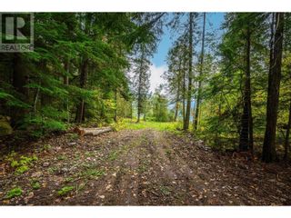 Photo 10: 7788 Trans Canada Highway in Revelstoke: Vacant Land for sale : MLS®# 10273662