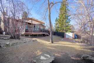 Photo 40: 6223 Dalsby Road NW in Calgary: Dalhousie Detached for sale : MLS®# A1083243