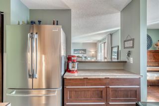 Photo 6: 215 8604 48 Avenue NW in Calgary: Bowness Apartment for sale : MLS®# A2042174