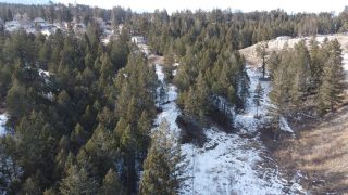 Photo 9: 817 KPOKL ROAD in Invermere: Vacant Land for sale : MLS®# 2469457