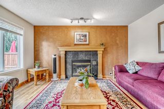 Photo 10: 333 Bridlewood Avenue SW in Calgary: Bridlewood Detached for sale : MLS®# A1244530
