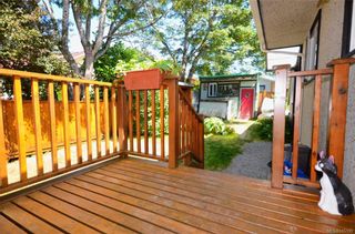 Photo 16: 790 Middleton St in Saanich: SW Gorge House for sale (Saanich West)  : MLS®# 845199