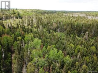 Photo 17: Lot A Canoose Stream Road in Canoose: Vacant Land for sale : MLS®# NB090908