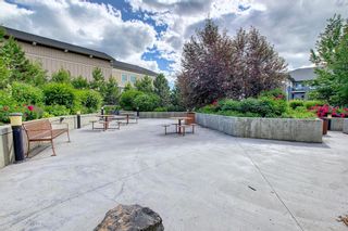 Photo 42: 218 25 Auburn Meadows Avenue SE in Calgary: Auburn Bay Apartment for sale : MLS®# A1237863