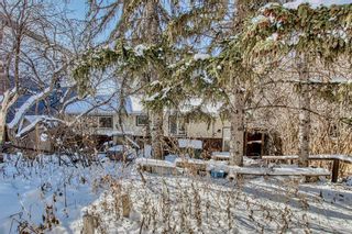 Photo 35: 4712 22 Avenue NW in Calgary: Montgomery Detached for sale : MLS®# A2029697