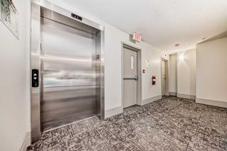 Photo 25: 308 518 33 Street NW in Calgary: Parkdale Apartment for sale : MLS®# A2121555