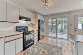 Photo 10: 8815 36 Avenue NW in Calgary: Bowness Detached for sale : MLS®# A1151045