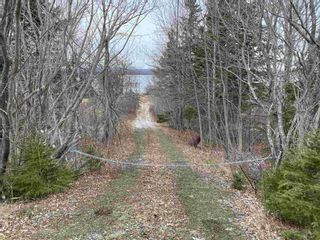 Photo 8: 8080 Marble Mountain Road in Malagawatch: 306-Inverness County / Inverness Vacant Land for sale (Highland Region)  : MLS®# 202221143