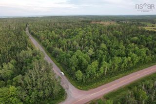 Photo 3: 14.5 ac Monks Head Road in Pomquet: 302-Antigonish County Vacant Land for sale (Highland Region)  : MLS®# 202319735