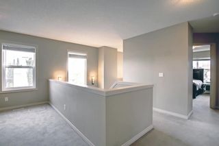 Photo 20: 1013 Copperfield Boulevard SE in Calgary: Copperfield Detached for sale : MLS®# A1149102