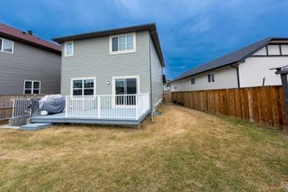 Photo 40: 329 Martin Crossing Place NE in Calgary: Martindale Detached for sale : MLS®# A2063752