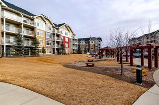 Photo 17: 3105 155 Skyview Ranch Way NE in Calgary: Skyview Ranch Apartment for sale : MLS®# A1179109