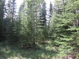 Photo 26: 108 32433 Range Road 61: Rural Mountain View County Residential Land for sale : MLS®# A1254404