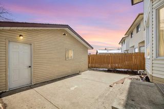 Photo 29: 46 Templeby Way NE in Calgary: Temple Detached for sale : MLS®# A2124383