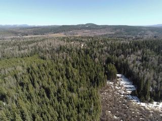 Photo 5: LOT 7 SOUTHWOOD Road in Quesnel: Quesnel - Rural North Land for sale in "TEN MILE LAKE AREA" (Quesnel (Zone 28))  : MLS®# R2666316
