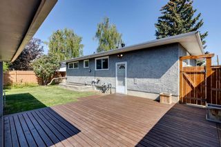 Photo 9: 9559 Assiniboine Road SE in Calgary: Acadia Detached for sale : MLS®# A2053426