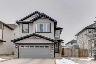 Photo 1: 10 Royal Birch Way NW in Calgary: Royal Oak Detached for sale : MLS®# A1189175