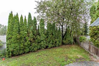 Photo 13: 284 TENBY Street in Coquitlam: Coquitlam West 1/2 Duplex for sale : MLS®# R2214023