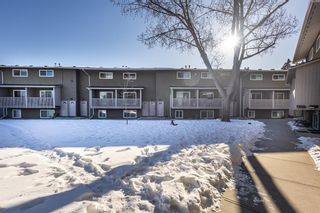 Photo 27: 23 8112 36 Avenue NW in Calgary: Bowness Row/Townhouse for sale : MLS®# A2034576