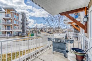 Photo 14: 4109 302 Skyview Ranch Drive NE in Calgary: Skyview Ranch Apartment for sale : MLS®# A1191682