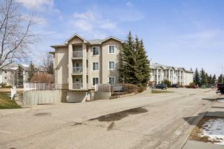 Photo 3: 3304 6818 Pinecliff Grove NE in Calgary: Pineridge Apartment for sale : MLS®# A2124115