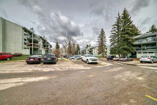 Photo 41: 518 10120 Brookpark Boulevard SW in Calgary: Braeside Apartment for sale : MLS®# A2128653