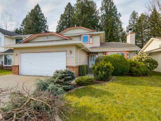 Photo 1: 19566 PARK ROAD in Pitt Meadows: Mid Meadows House for sale : MLS®# R2047749