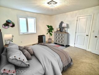 Photo 8: 35 Norman Court in St. Albert: House for sale : MLS®# E4275808